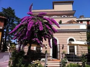 Hotel Villa Pirandello | Roma | Photo Gallery - 6